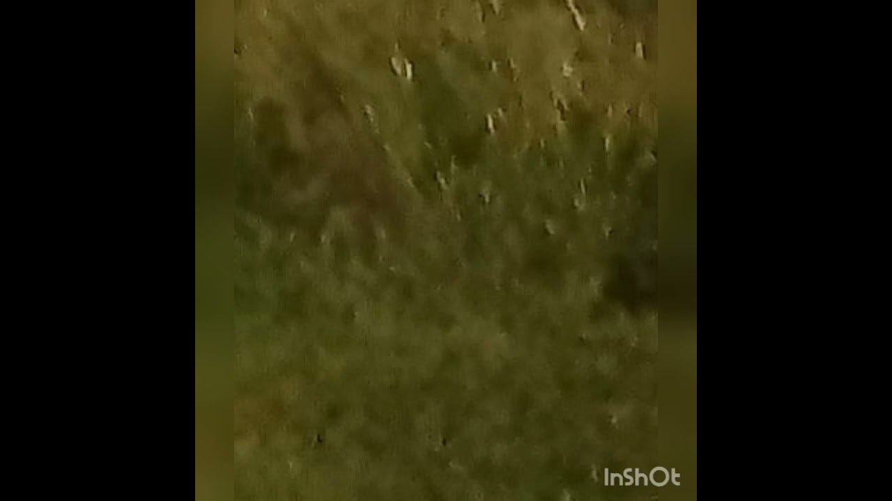 Treat Her Good Riddim - Prod. by BajanMafiaRecordingStudio