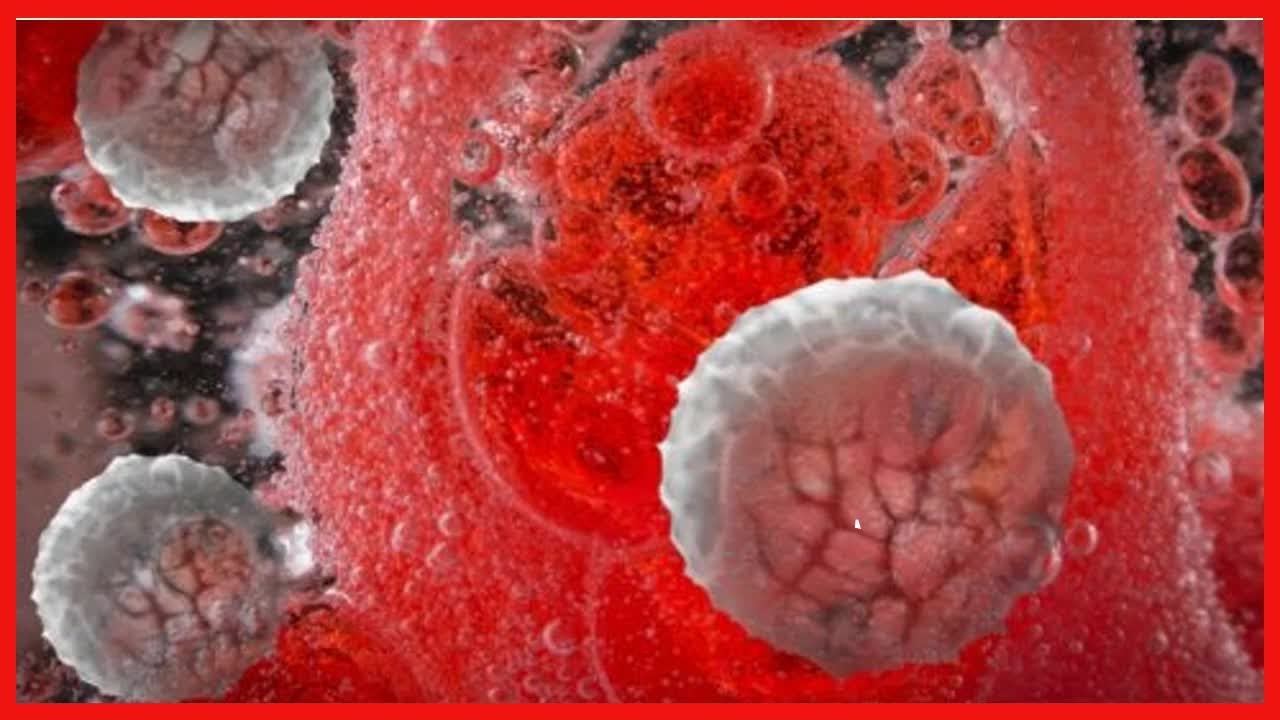 Was ist Prolaktin und wie funktioniert dieses Hormon? - YouTube