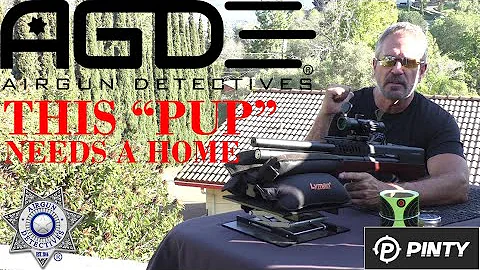 P-FORCE BULLPUP by Pinty