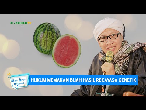 Video: Berapa banyak cara penggabungan genetik terdapat dalam bakteria?