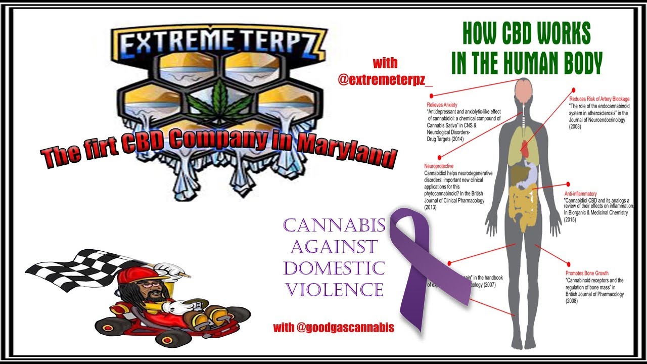 How CBD works with @extremeterpz_ & Cannabis against domestic violence with @goodgascannabis