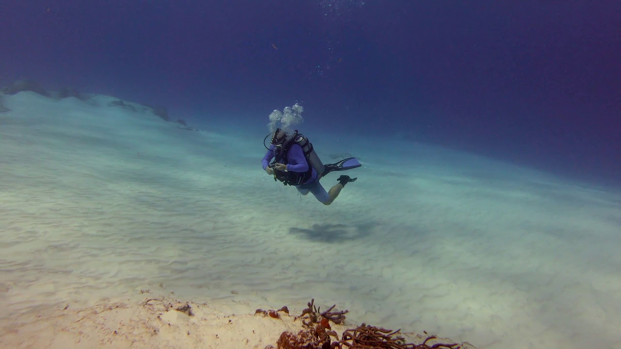 Cozumel 2019 Dive Trip Day 2 YouTube