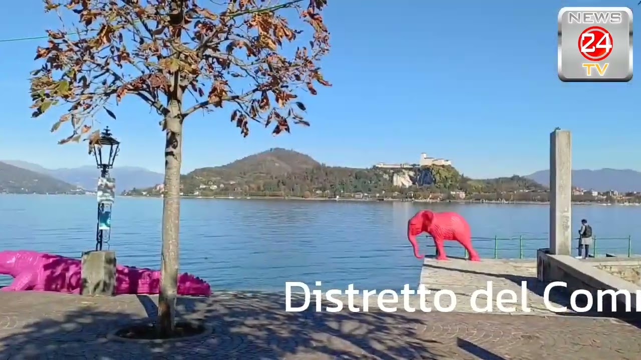 Distretto del Commercio Lago Maggiore, aperto bando per contributi a fondo perduto
