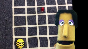 Bee Bot Coding #CSEDWEEK #Hour of Code