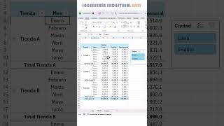 EXCEL: Combinar celdas en una Tabla Dinámica.
