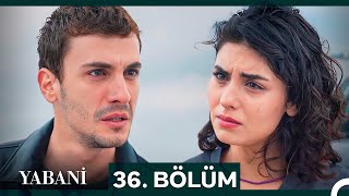 Yabani 36 Bölüm Sezon Fi̇nali̇