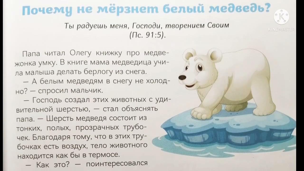 Почему у медведя нет мамы. Сказка про белого медведя. Белый медведь не мерзнет. Сказка про белого мишку. Почему белый медведь не мерзнет.