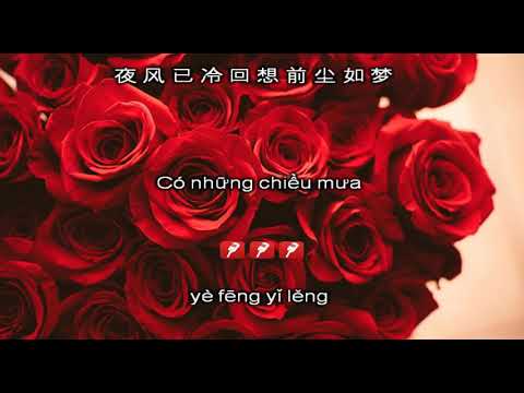 Karaoke song ngữ 999 ĐOÁ HỒNG | 九佰九拾九朵玫瑰 - Trác Y Đình 卓依婷