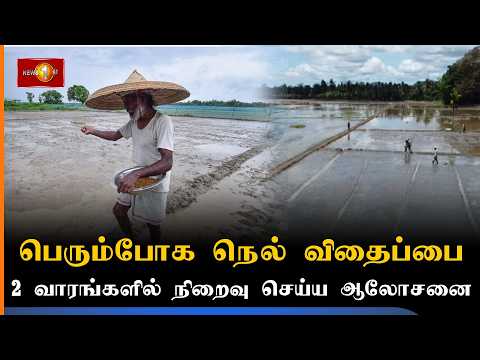 பெரும்போக நெல் விதைப்பை எதிர்வரும் 15 முன் நிறைவு செய்ய விவசாயிகளுக்கு ஆலோசனை