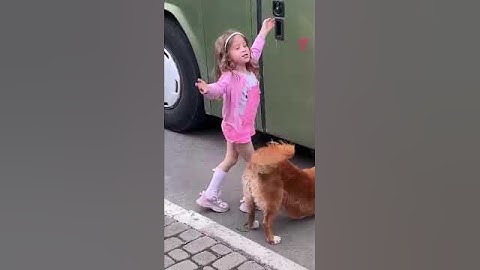 Incredible Dog Rescues Kittens from Bus   Inspiring Story #shorts