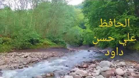 الحافظ علي حسن  داود سورة الرعد (مرتل)
