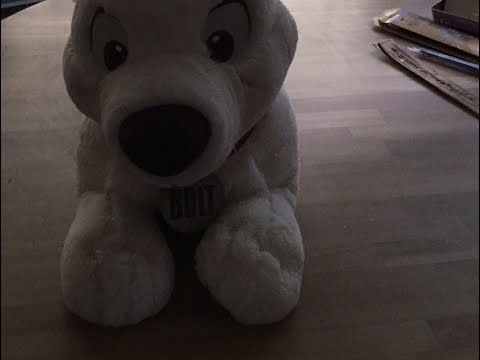 bolt teddy