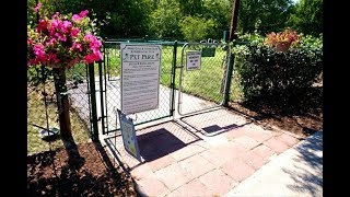 Pet Friendly Retirement Communities in Central Florida