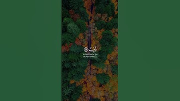 فادعوا الله مخلصين له الدين | كرومات قرآن سورة غافر القارئ سلمان عبيد المطيري #quran #quranverses