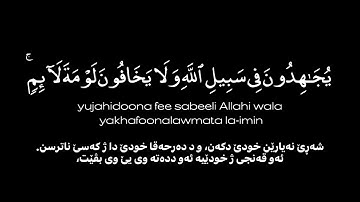 ولا يخافون لومة لائم / محمد اللحيدان من سورة المائدة - كرومات قران الكريم شاشة سوداء