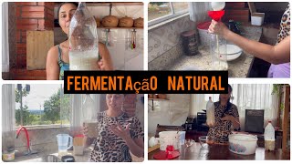 Do ZERO | Fermentação NATURAL | Passo a Passo