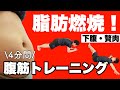 【ダイエット】1日5分♪ぽっこりお腹の脂肪を燃やす腹筋トレーニング！女性でも出来るお腹痩せエクササイズ