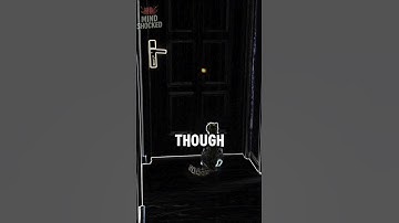 "Why Cats Chase Laser Pointers Like Crazy (The Real Reason)" #facts #youtubeshorts #shorts