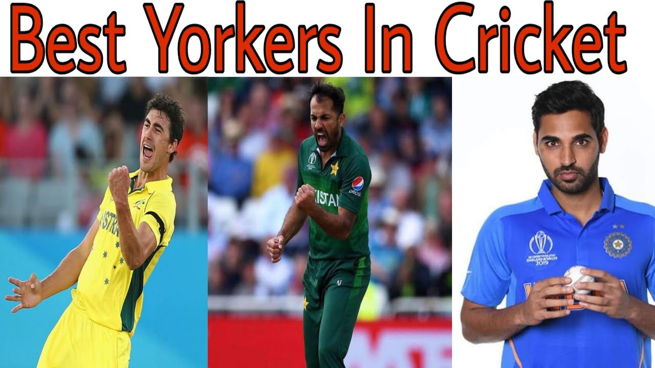 Best Yorkers in cricket History YouTube