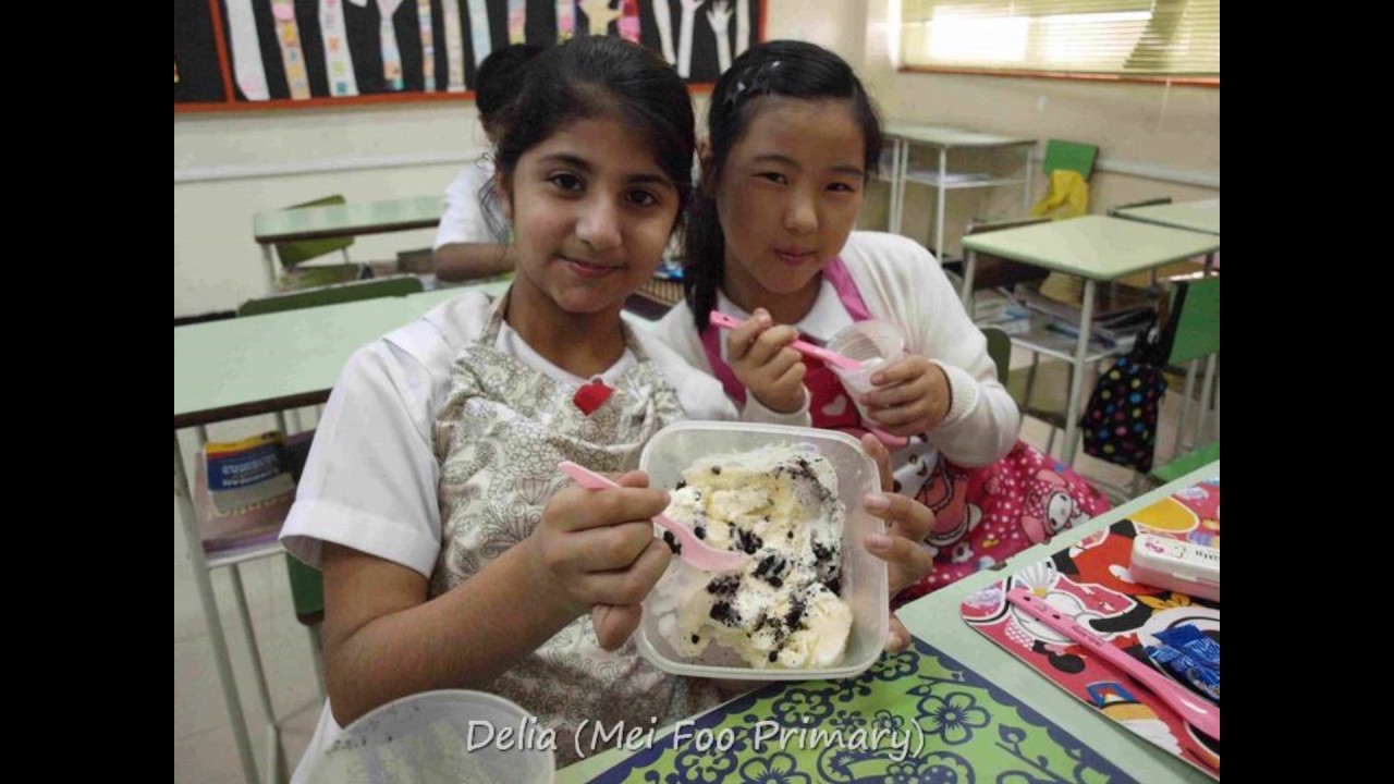 My School memory Book 1617