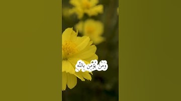 قران كريم بصوت جميل تلاوة عطرة هادئه #القرآن #القرآن_الكريم #اسلاميات#تلاوة #دعاء #حالات_دينية