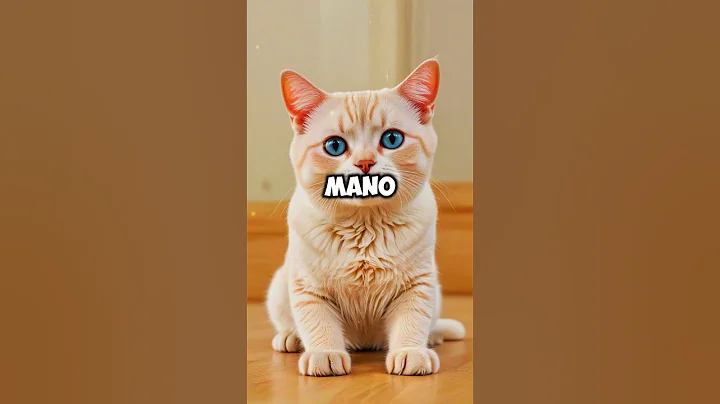 mano cat kidnap #short #cats