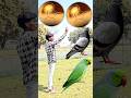 Rounding coconuts to Duck, Peacock, Pigeon &amp; Parrot - Birds names magic video#foryou#plzsupport