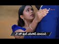 Lakshmi Nivasam | Ep - 386 | Preview | May 16 2026 | Zee Telugu