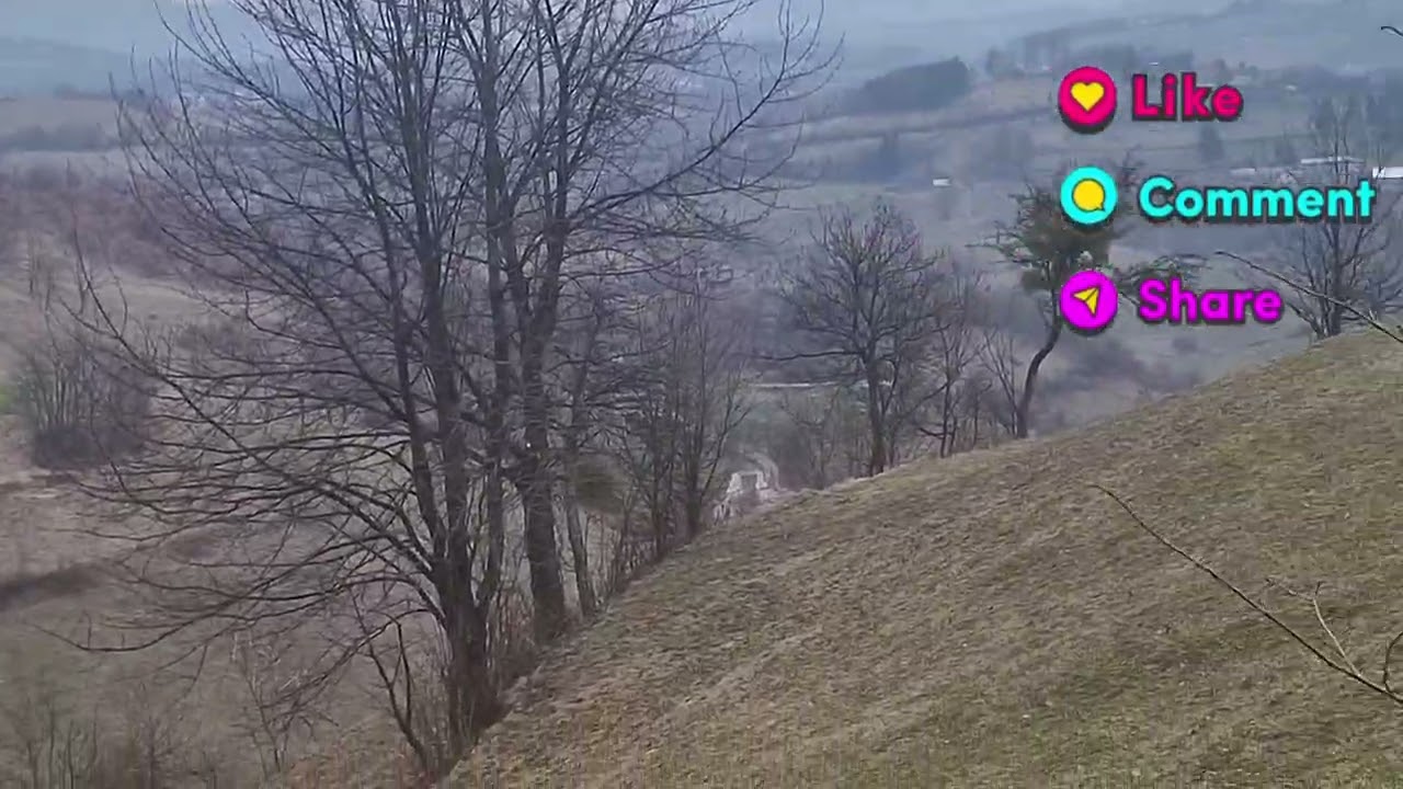 12.dan Ramazana Pogledate sta smo danas radili  ,odnosno sta Mujo radi .......😘😘😘😘@@@