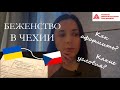 БЕЖЕНСТВО В ЧЕХИИ I Как оформить беженство I Где найти помощь украинцам