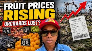 Fruit Prices Are Rising… And Farmers Have Lost Entire Orchards