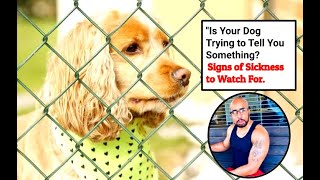 Listen to Your Pup Unspoken Ways Your Dog Indicates They're Sick by My New Puppy with Ali A. Parker 160 views 8 months ago 4 minutes, 21 seconds