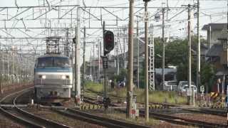 JR貨物 EF66-127 貨物列車 (1094レ EF66 100番台) 東海道線 清洲駅貨物線