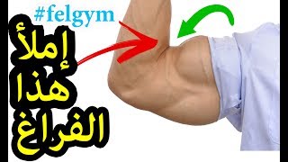 التحكم فى طول و شكل عضلة الباى ( البايسبس ) | Biceps shaping