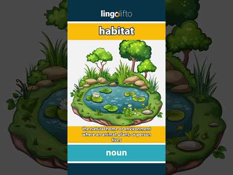 🇬🇧 Habitat Meaning
