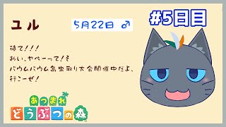 【あつまれ どうぶつの森】妖精無人島魔法5日目【ユル・バウム】