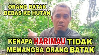 KENAPA HARIMAU PATUH KEPADA ORANG BATAK? fh88