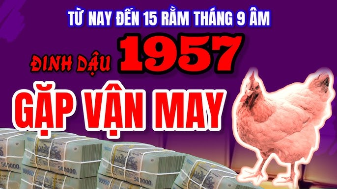 Tuổi Đinh Dậu 1957 Năm 2019 - Tử Vi, Phong Thủy Và Vận Mệnh Chi Tiết