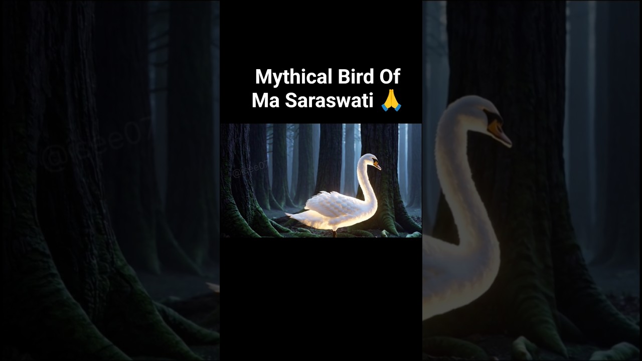 Mythical Bird Of Goddess Saraswati Swan 