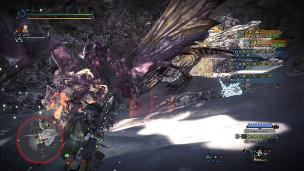 MHW Snow and Cherry Blossoms HBG Solo 2'15''61