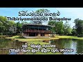    thibiriyamankada bungalow  review  udawalawe national park   sri lanka