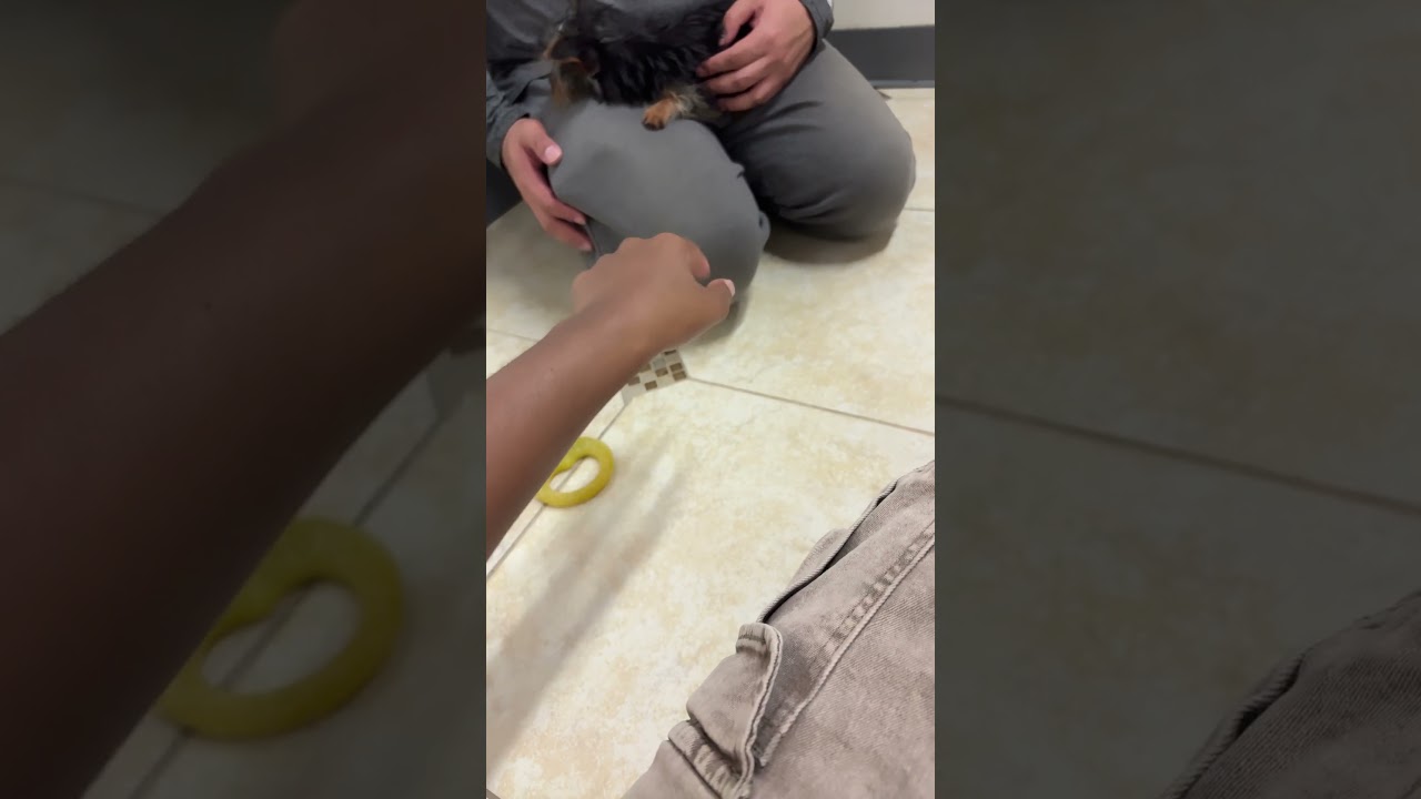 Он меня игнорировал, это так смешно 🤣