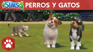 Toda la información sobre Los Sims 4: Perros y Gatos - Rincón del Simmer