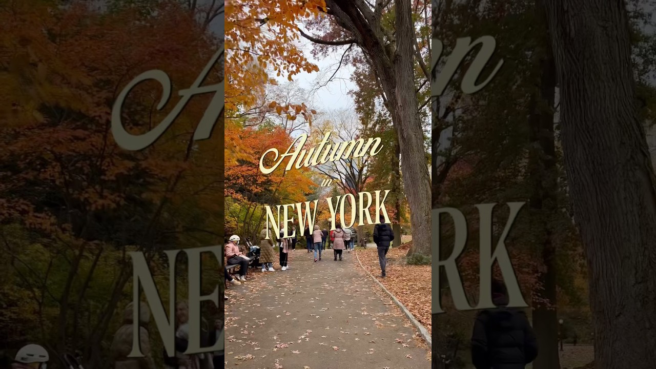 New York City like you’ve NEVER seen it before… 👀