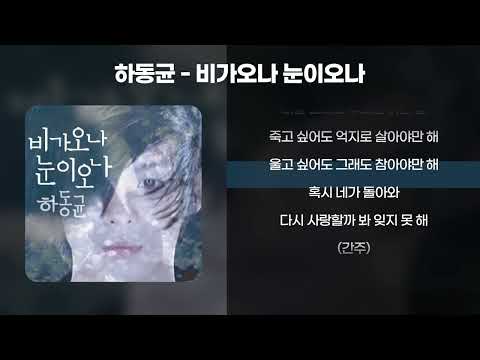 하동균 - 비가오나 눈이오나 [가사/Lyrics]