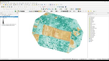 Comparing two vegetation indices from multi dated drone data