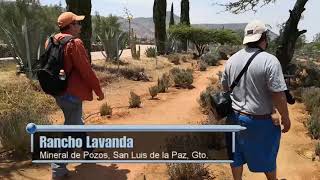 Rancho Lavanda, en Mineral de Pozos