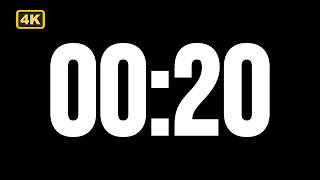 Celebrity 20 Second Countdown Timer | Minimal Black Screen Timer in 4K (Bebas Neue Font) Wealth