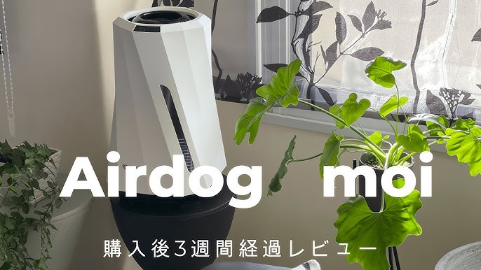 Airdog MOI Mold-Free Evaporative Humidifier – Airdog USA