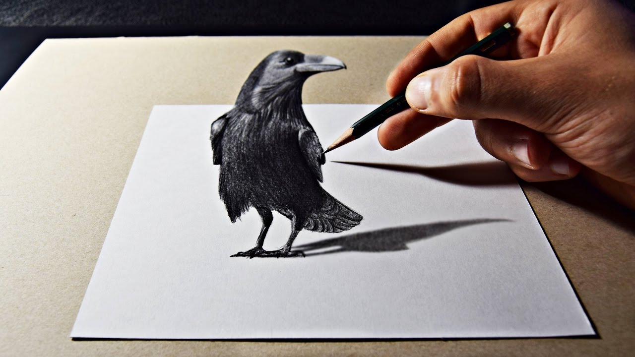 3D Pencil Art Raven Drawing YouTube